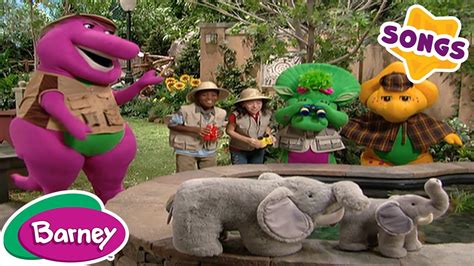 Barney Zoo Animals