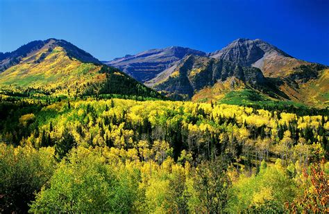 Timpanogos Cave National Monument | Find Your Park