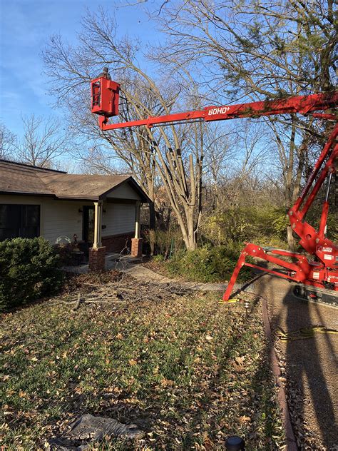 Skilled Arborist Tree Trimming | Lewis Tree Service