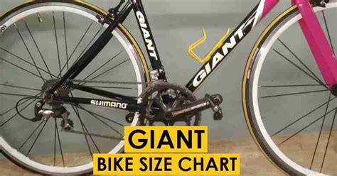 Giant Bike Size Chart By Height (Quick Guide With Bike Models)