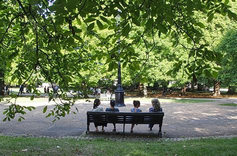 In photos: London’s Green Park turns golden brown as trees shed their ...