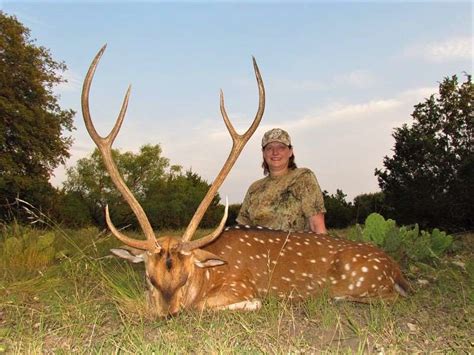 Axis Deer Hunt / Texas, United States - BookYourHunt.com