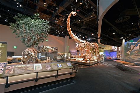 Augmented Reality To Be Part Of Perot Museum Of Nature And Science’s Ultimate Dinosaurs Exhibit ...