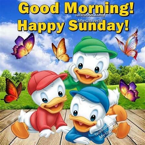 Good Morning, Happy Sunday | Happy sunday morning, Happy sunday pictures, Good morning happy sunday