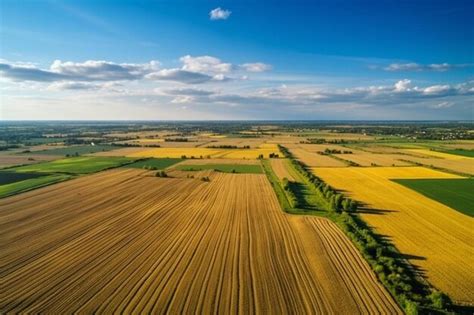 Premium AI Image | an aerial view of a field of crops