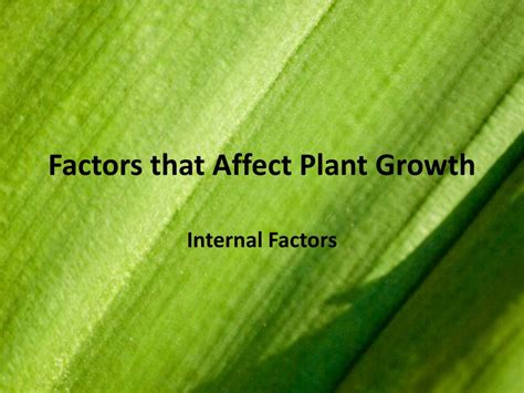 PPT - Factors that Affect Plant Growth PowerPoint Presentation, free ...