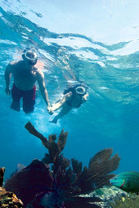 40 Best Key West Snorkeling ideas | key west snorkeling, key west ...