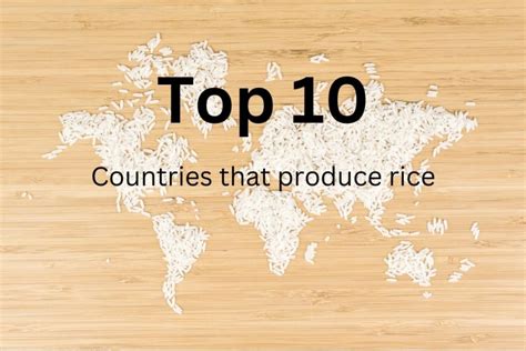 Top 10 rice producing countries | World Grain