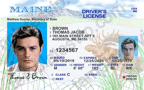 Maine Driver License Psd Template 2023 - vrogue.co