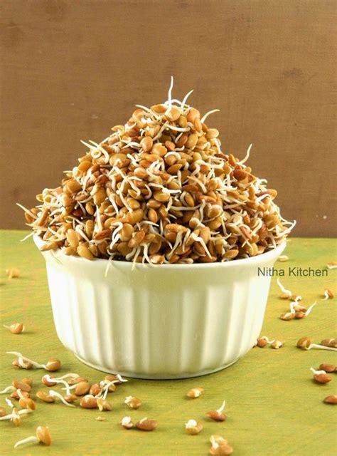 Homegrown Horse Gram Sprouts முளை கட்டிய கொள்ளு - Nitha Kitchen