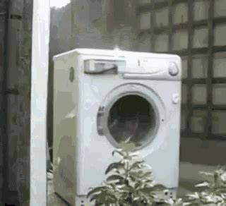 Maquina De Lavar Washing Machine GIF - MaquinaDeLavar WashingMachine Destroy - Discover & Share GIFs