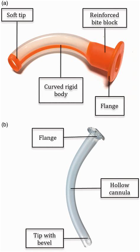 Oropharyngeal Airway And Nasopharyngeal Airway