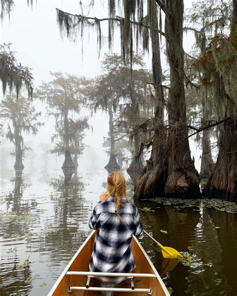 caddo lake state park boat tours - Google Search Canoe Trip, Canoe And Kayak, Camping & Hiking ...