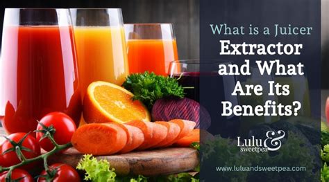 What is a Juicer Extractor and What Are Its Benefits? | Lulu & Sweet Pea