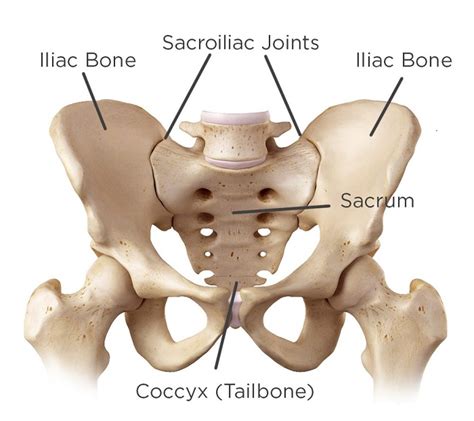 Sacroiliac Joint Dysfunction