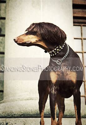 Standing Stones Photography Blog