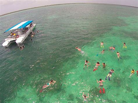 Snorkeling in PUNTA CANA with Dressel Divers | Best Reefs