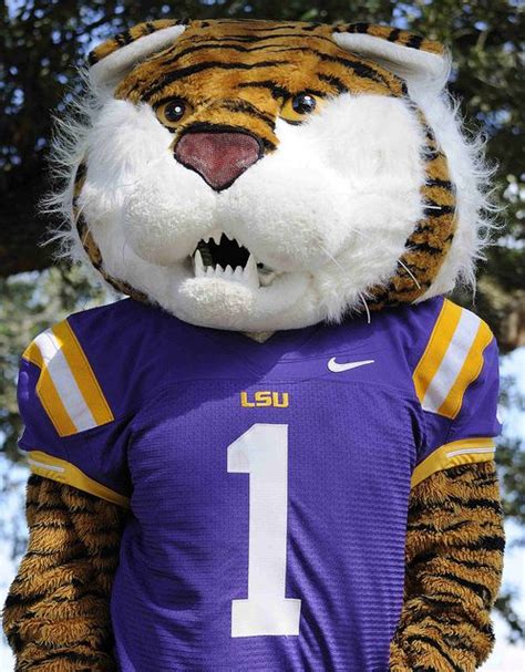 Pics For > Mike The Tiger Mascot Costume | Lsu tigers football, Lsu tigers, Mascot