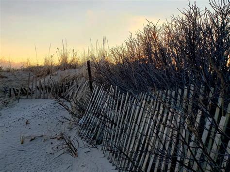 PHOTOS: Sandy Neck Beach - CapeCod.com