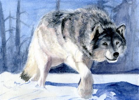 Eds Art Blog: Wolf Watercolor