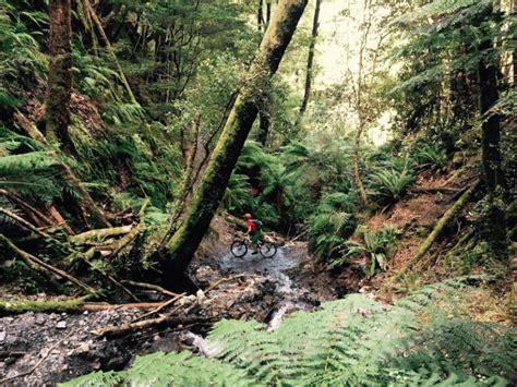 The Top 5 Must-Ride New Zealand Mountain Biking Trails