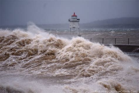 Lake Superior Storm Waves (video) | 365 Days of Birds