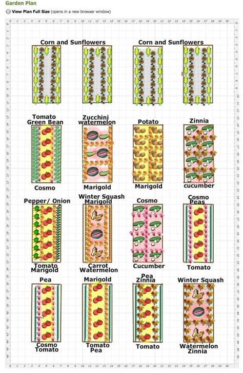 19 Vegetable Garden Plans & Layout Ideas That Will Inspire You