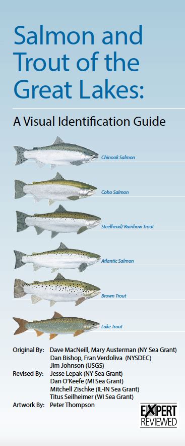 Salmon and Trout of the Great Lakes: A Visual Identification Guide - Illinois-Indiana Sea ...