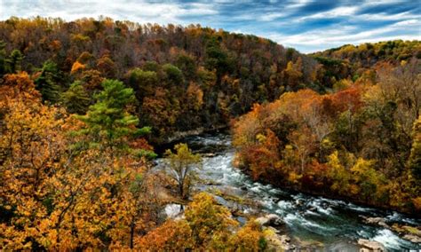 Wildlife in Virginia - Types of Virginian Animals - A-Z Animals