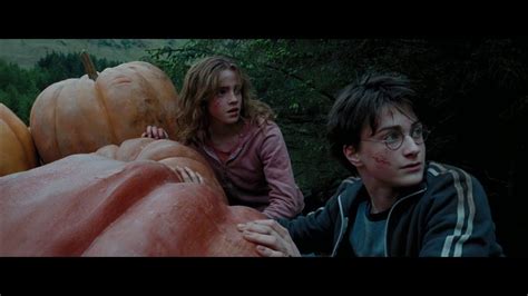 Harry And Hermione Save Buckbeak - Harry Potter And The Prisoner Of Azkaban in HINDI - YouTube