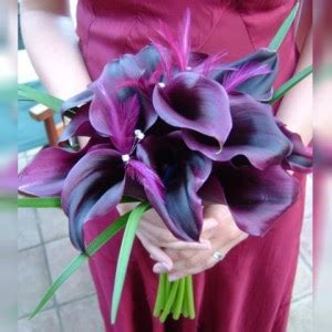 Bouquet Bridal: Black Calla Lily Bouquet Pictures