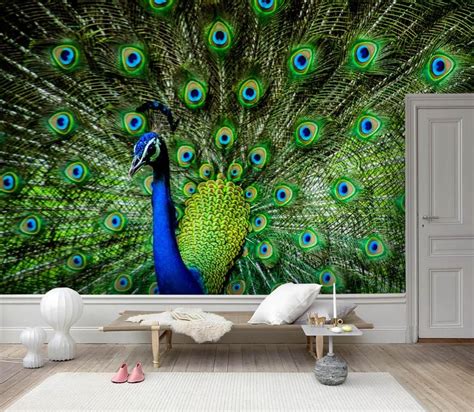 3D Gorgeous, Peacock, Feather Wallpaper, Removable Self Adhesive Wallpaper, Wall Mural,Vintage ...