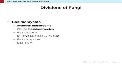 Divisions of Fungi Basidiomycota –Includes mushrooms –Called ...