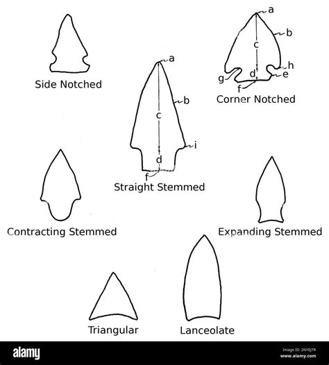 Standard projectile point terminology used in describing Native ...