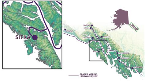 Wildlife in Sitka, Alaska - Alaska's Inside Passage