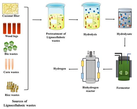 Sustainability | Free Full-Text | A Review on Biohydrogen Sources, Production Routes, and Its ...