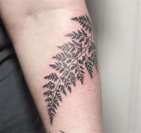 Fern Tattoo Meaning: Symbolic Power Behind This Botanic Beauty - InkCites