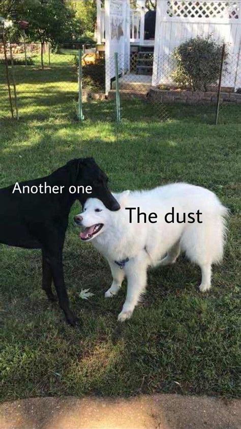 Tier 3 meme | Another One Bites the Dust | Know Your Meme