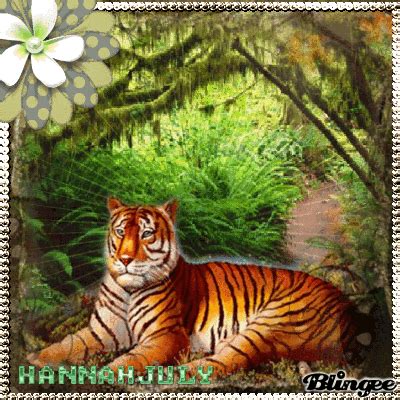 Tiger in the woods Chistmas, Woods, Tiger, Animation, Artist, Animaux, Woodland Forest, Forests ...