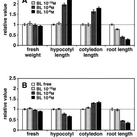 Effects of brassinolide on organ growth of Arabidopsis seedlings.... | Download Scientific Diagram