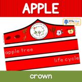 Apple Life Cycle Crown Teaching Resources | Teachers Pay Teachers