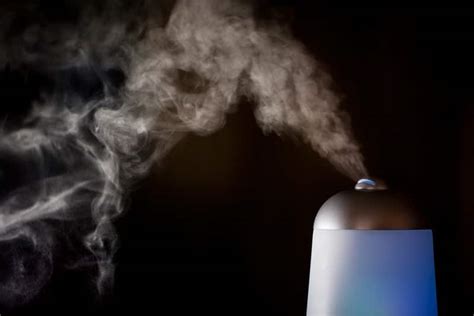 Best Nebulizer for Essential Oils - 2024 Reviews