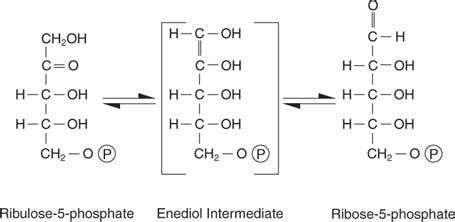 Ribulose 5 phosphate - Alchetron, The Free Social Encyclopedia