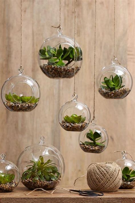 Terrarium : comment faire un terrarium | Accrocher les plantes d'air, Deco plantes, Comment ...