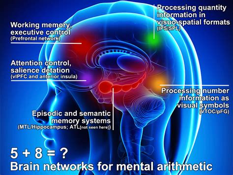 Everyone Can Learn Mathematics to High Levels: The Evidence from Neuroscience that Should Change ...