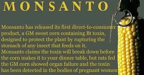 Organic News: Failed Monsanto GMO Corn Pushed on African Countries with Help of Bill Gates