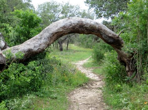 Government Canyon State Natural Area, Texas by Susan Alton - Coffey Talk