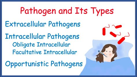 Pathogen | Types of Pathogen | Extracellular | Intracellular ...