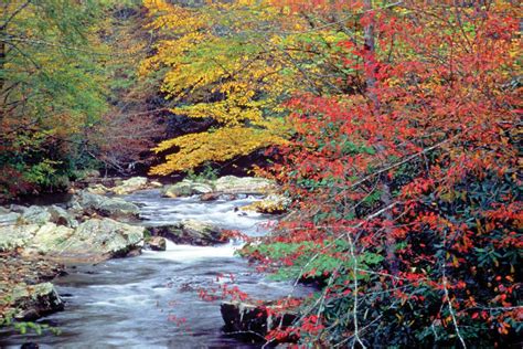 Great Smoky Mountains National Park | Facts, Location, Photos, & Map ...