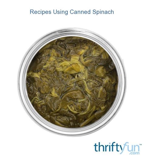 Recipes Using Canned Spinach | ThriftyFun